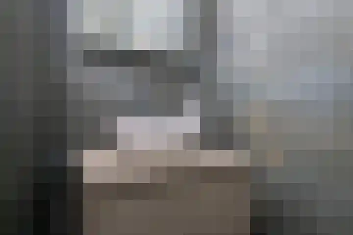 Het Zwanevlot 247 Zutphen thumbnail 5