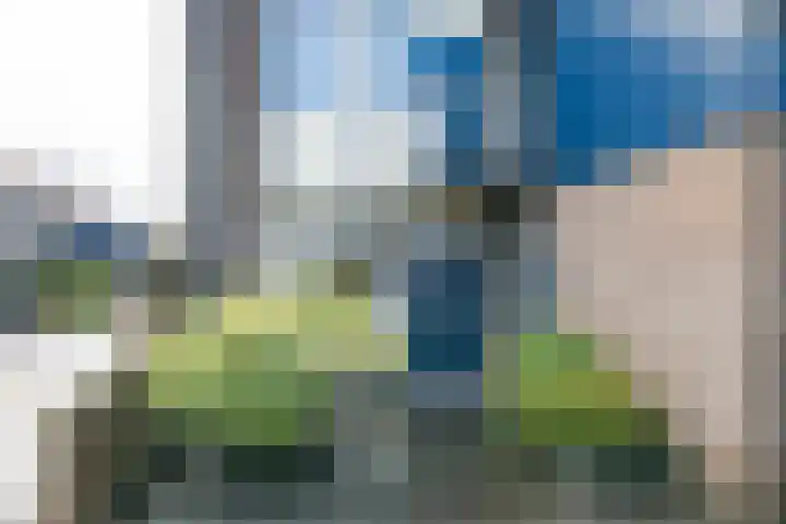 Het Zwanevlot 247 Zutphen thumbnail 7