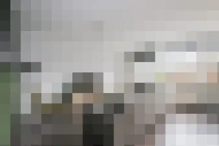 Het Zwanevlot 247 Zutphen thumbnail 9