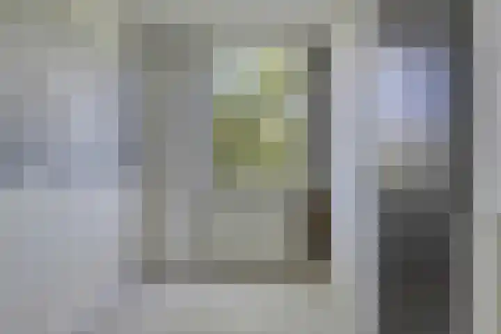 Het Zwanevlot 253 Zutphen thumbnail 12