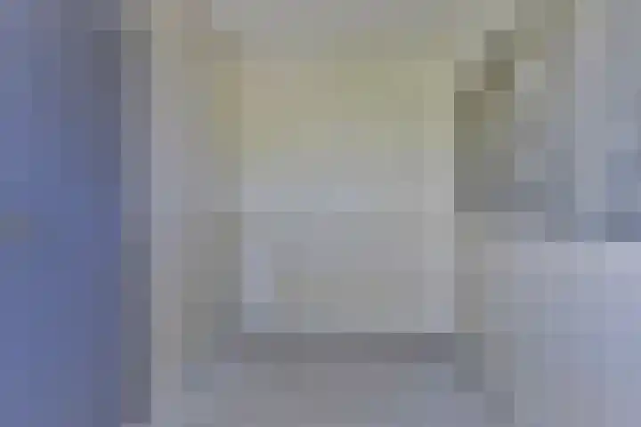 Het Zwanevlot 253 Zutphen thumbnail 13