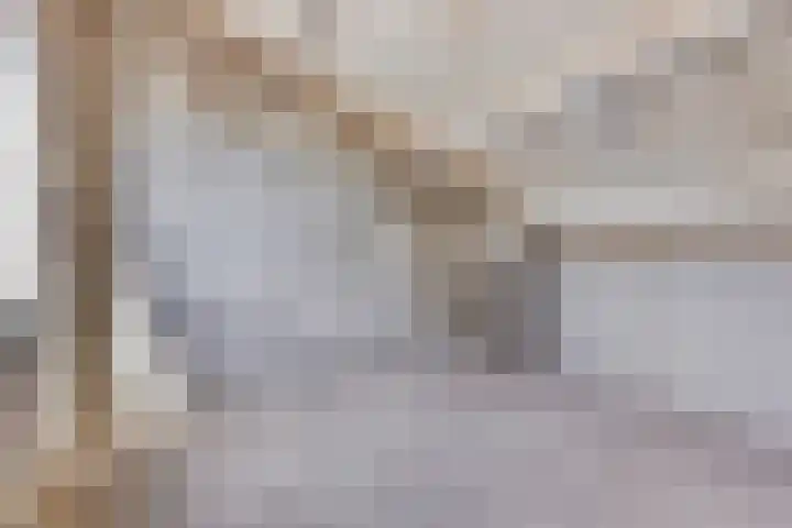 Het Zwanevlot 253 Zutphen thumbnail 18