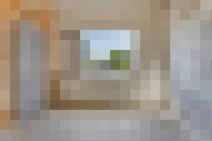 Het Zwanevlot 253 Zutphen thumbnail 19