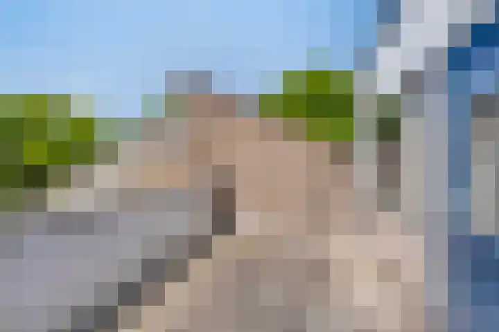 Het Zwanevlot 253 Zutphen thumbnail 23