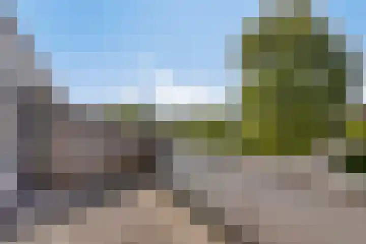 Het Zwanevlot 253 Zutphen thumbnail 24