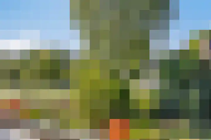 Het Zwanevlot 253 Zutphen thumbnail 25
