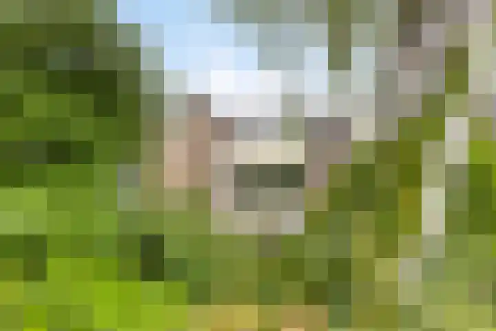 Het Zwanevlot 253 Zutphen thumbnail 32