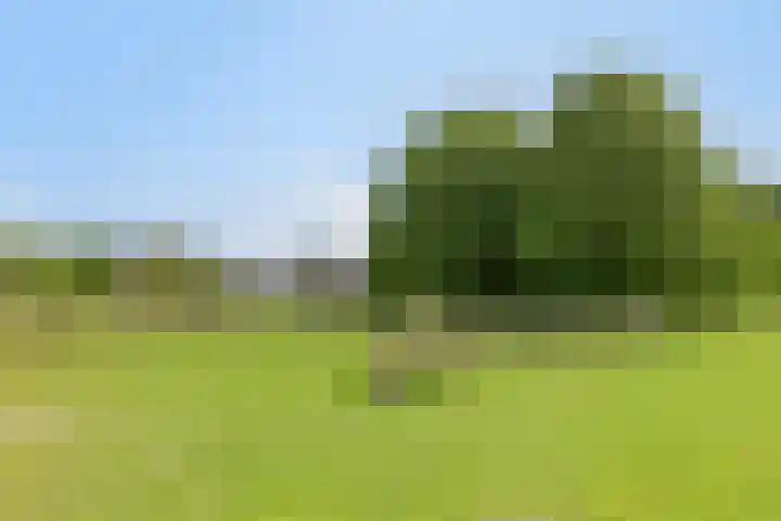 Het Zwanevlot 253 Zutphen thumbnail 33