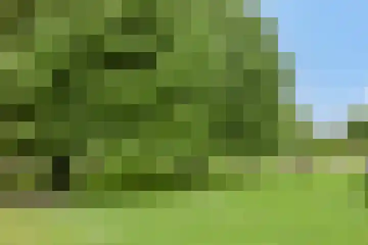 Het Zwanevlot 253 Zutphen thumbnail 34