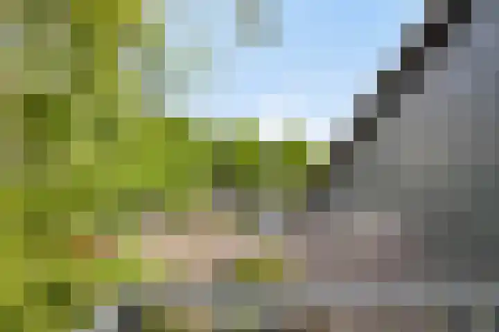 Het Zwanevlot 253 Zutphen thumbnail 5