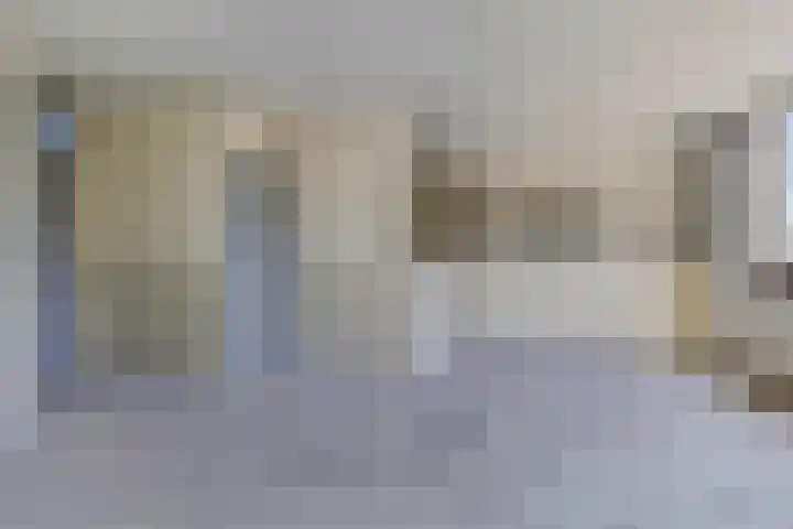 Het Zwanevlot 253 Zutphen thumbnail 8