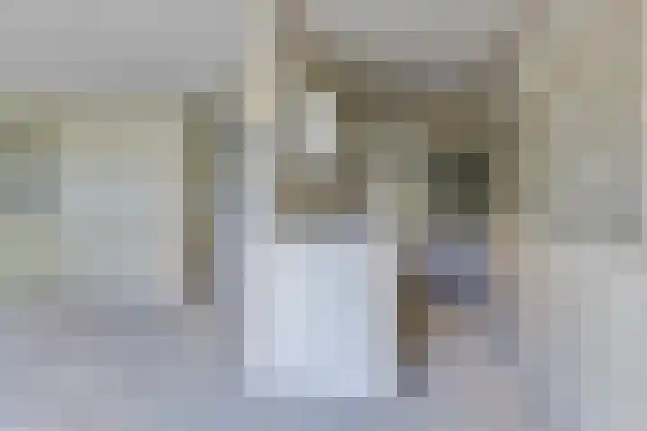 Het Zwanevlot 253 Zutphen thumbnail 9