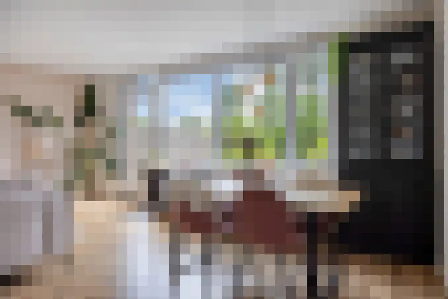 Het Zwanevlot 255 Zutphen thumbnail 11