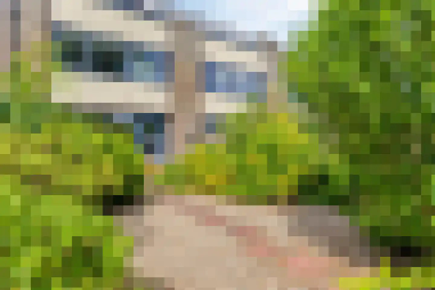 Het Zwanevlot 255 Zutphen thumbnail 18