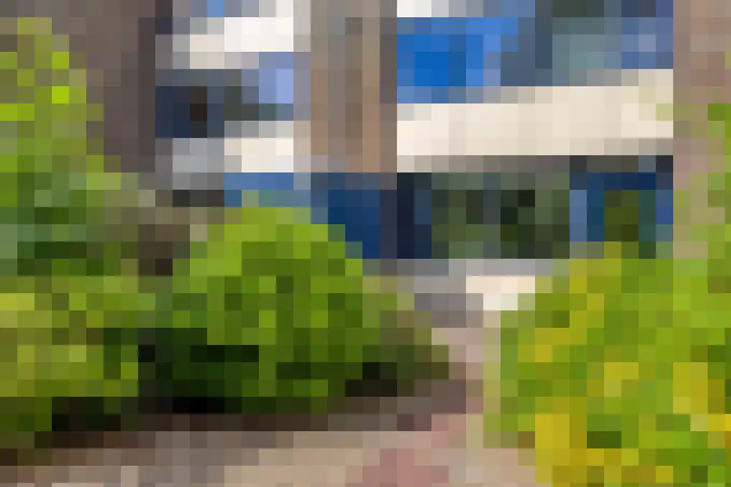 Het Zwanevlot 255 Zutphen thumbnail 20