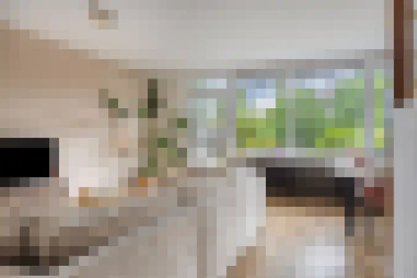 Het Zwanevlot 255 Zutphen thumbnail 6