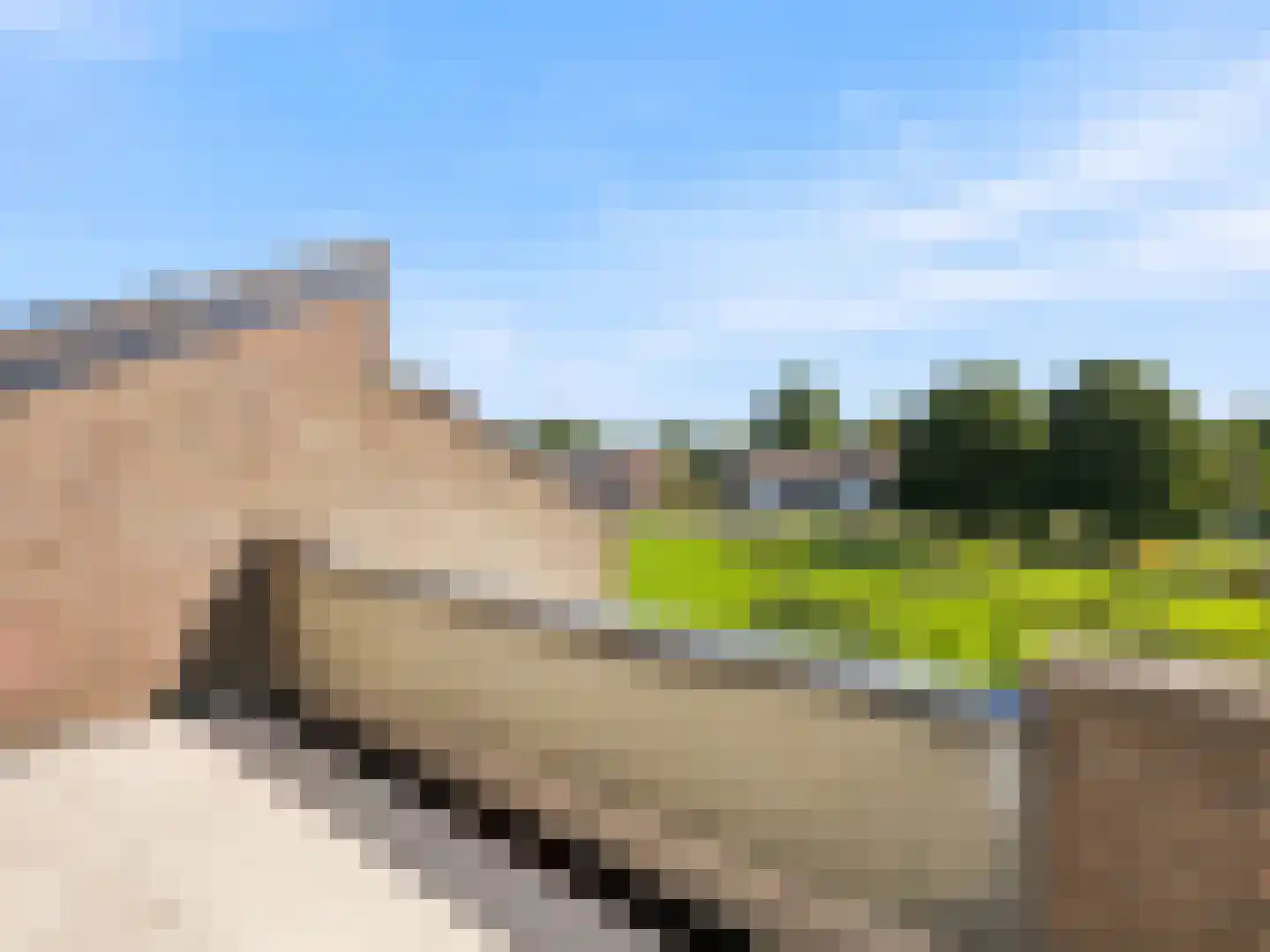 Het Zwanevlot 266 Zutphen thumbnail 18