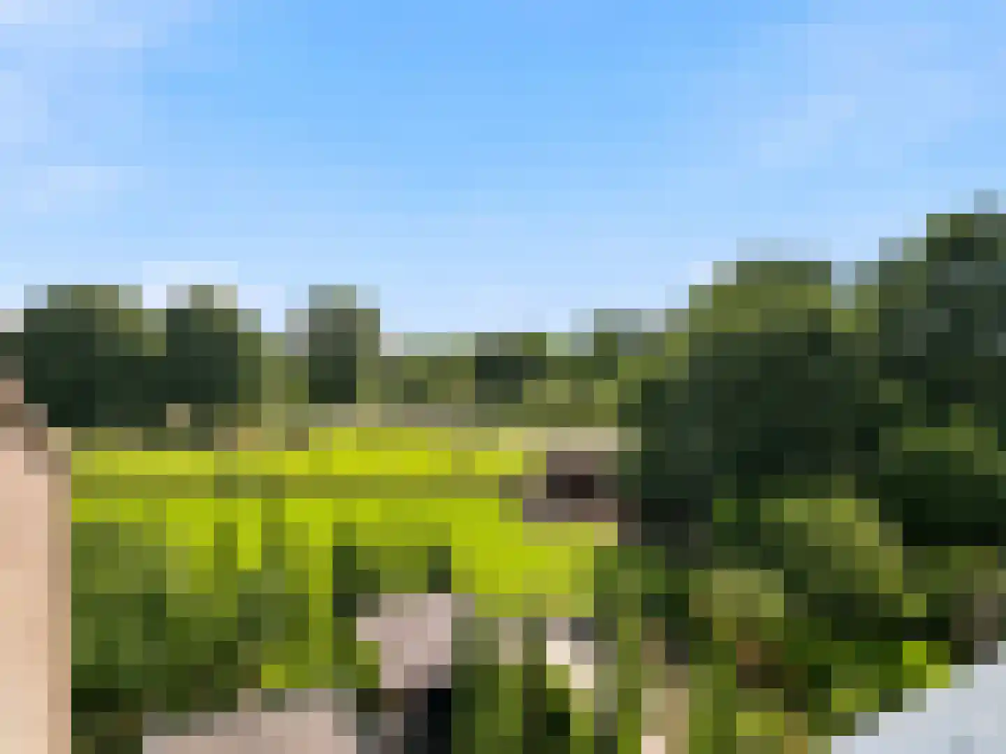 Het Zwanevlot 266 Zutphen thumbnail 20