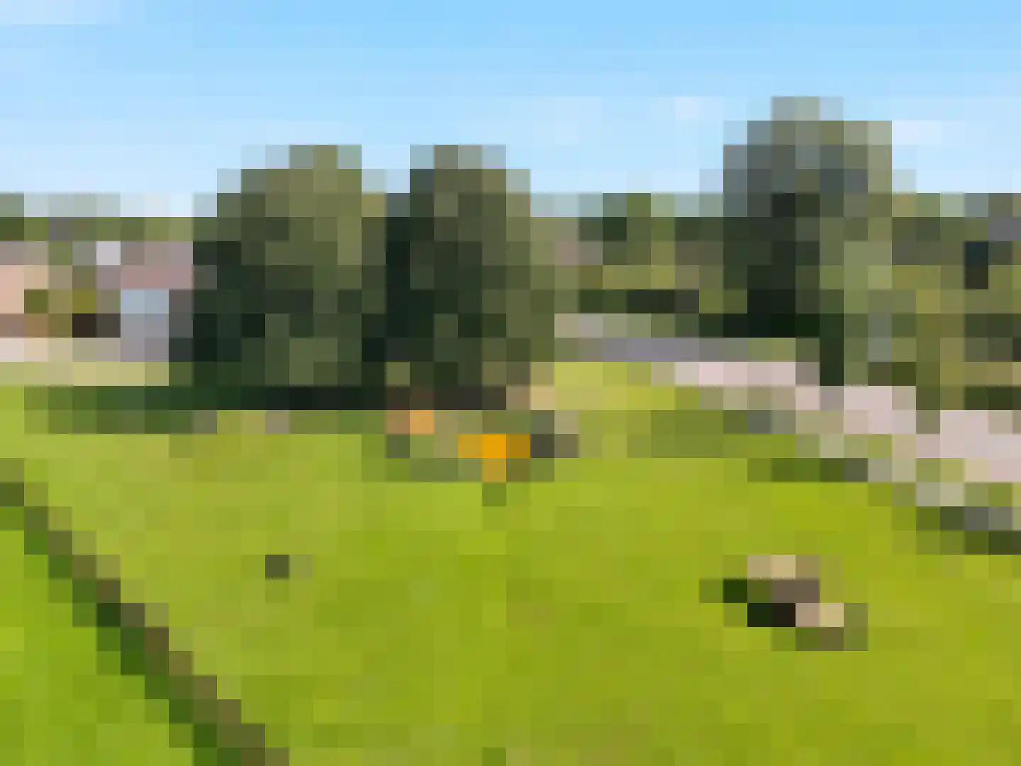 Het Zwanevlot 266 Zutphen thumbnail 21