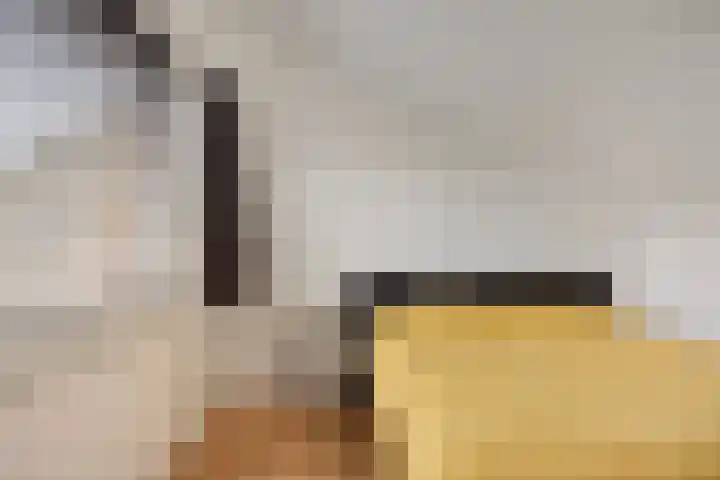 Het Zwanevlot 269 Zutphen thumbnail 13