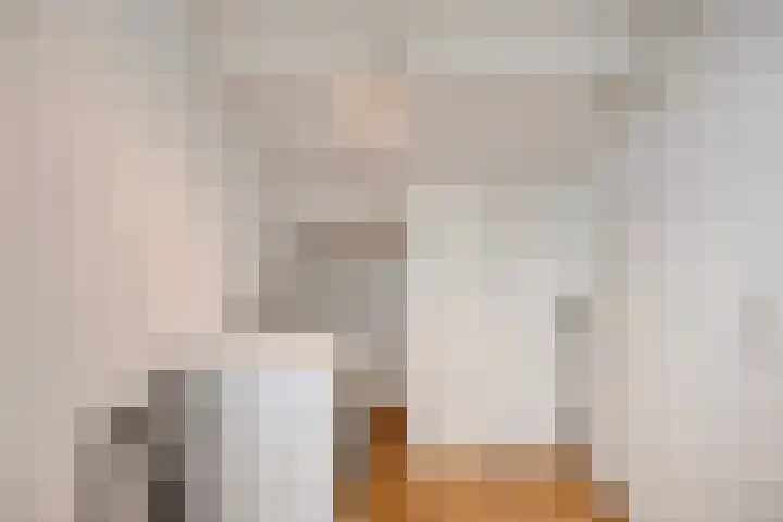 Het Zwanevlot 269 Zutphen thumbnail 15