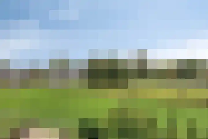 Het Zwanevlot 269 Zutphen thumbnail 19