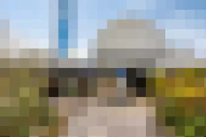 Het Zwanevlot 269 Zutphen thumbnail 20
