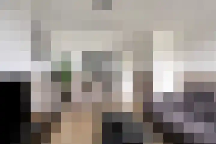 Het Zwanevlot 269 Zutphen thumbnail 6