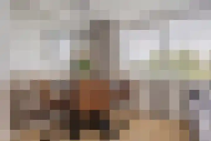 Het Zwanevlot 269 Zutphen thumbnail 7