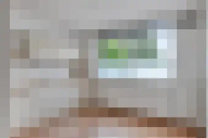 Het Zwanevlot 277 Zutphen thumbnail 10