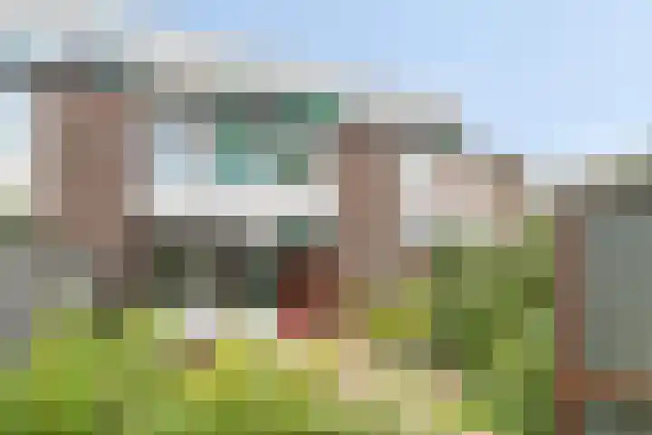 Het Zwanevlot 277 Zutphen thumbnail 32