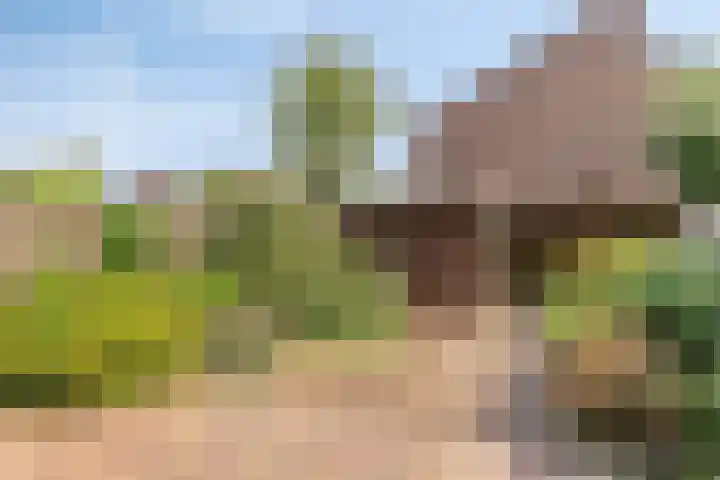 Het Zwanevlot 277 Zutphen thumbnail 33