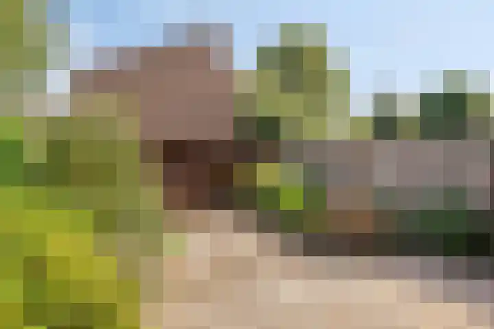 Het Zwanevlot 277 Zutphen thumbnail 34