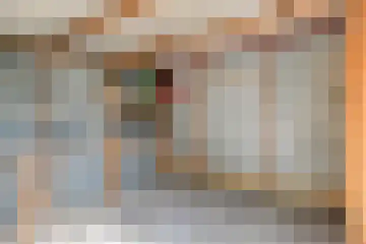 Het Zwanevlot 277 Zutphen thumbnail 36
