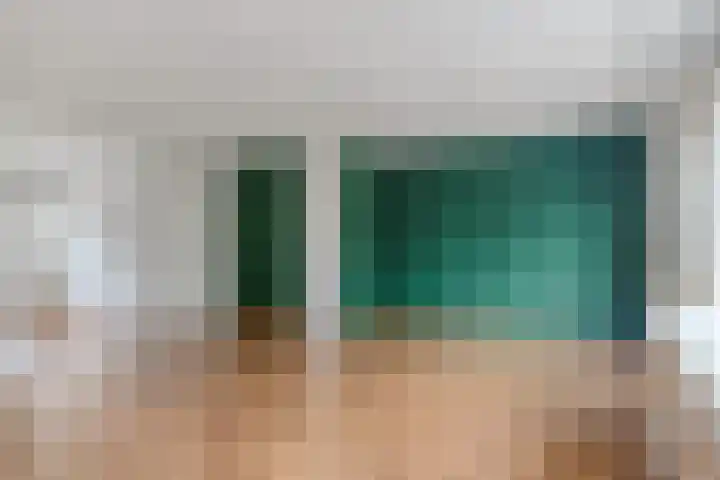 Het Zwanevlot 277 Zutphen thumbnail 6