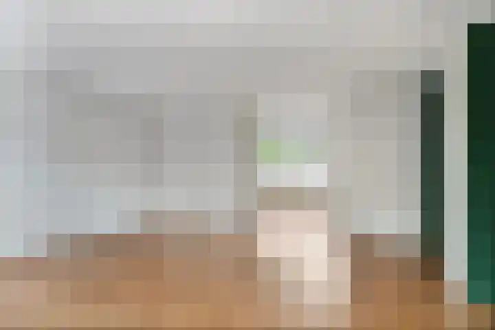 Het Zwanevlot 277 Zutphen thumbnail 8