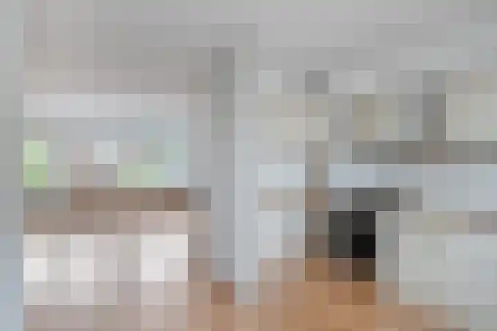 Het Zwanevlot 277 Zutphen thumbnail 9