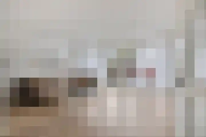 Het Zwanevlot 281 Zutphen thumbnail 4