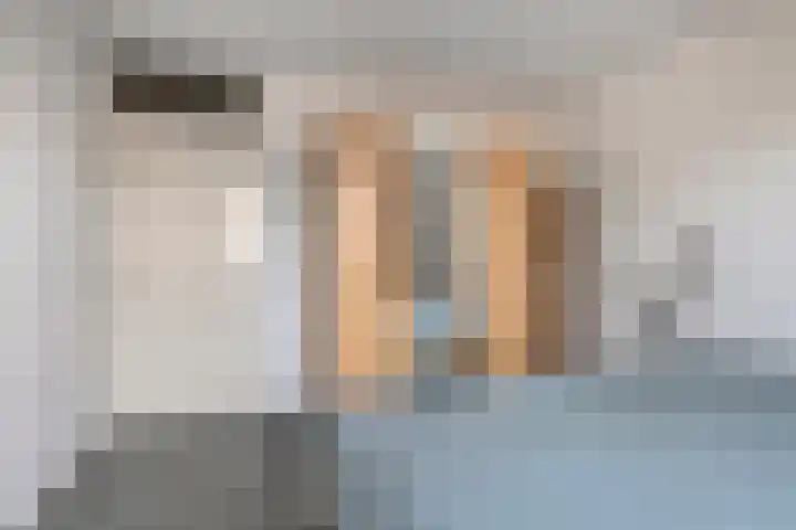 Het Zwanevlot 41 Zutphen thumbnail 22