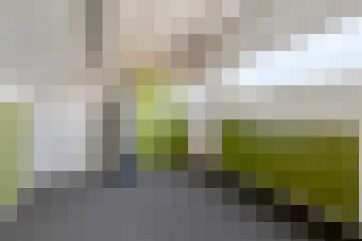 Het Zwanevlot 41 Zutphen thumbnail 30