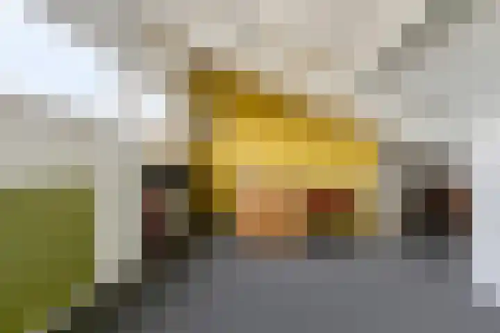 Het Zwanevlot 41 Zutphen thumbnail 31