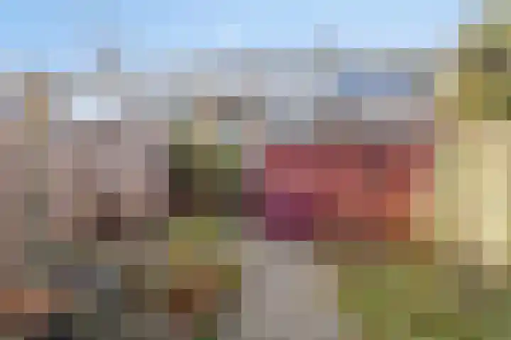 Het Zwanevlot 41 Zutphen thumbnail 32