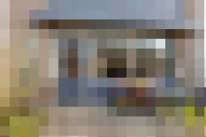 Het Zwanevlot 41 Zutphen thumbnail 33