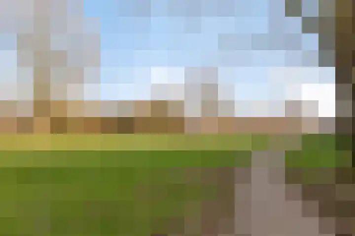 Het Zwanevlot 41 Zutphen thumbnail 34