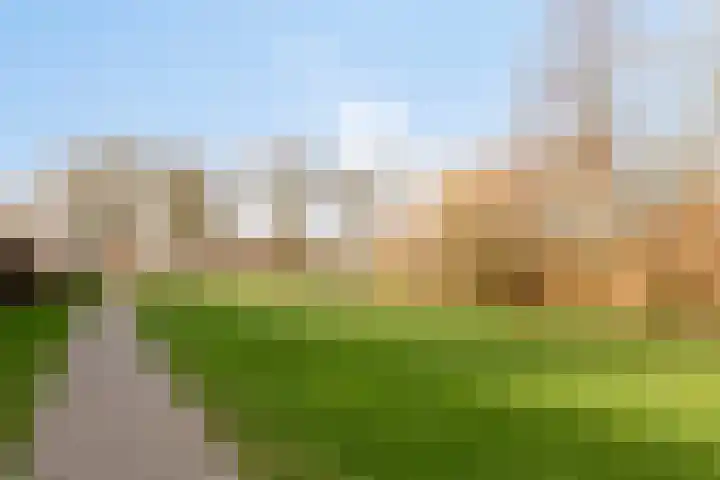 Het Zwanevlot 41 Zutphen thumbnail 35