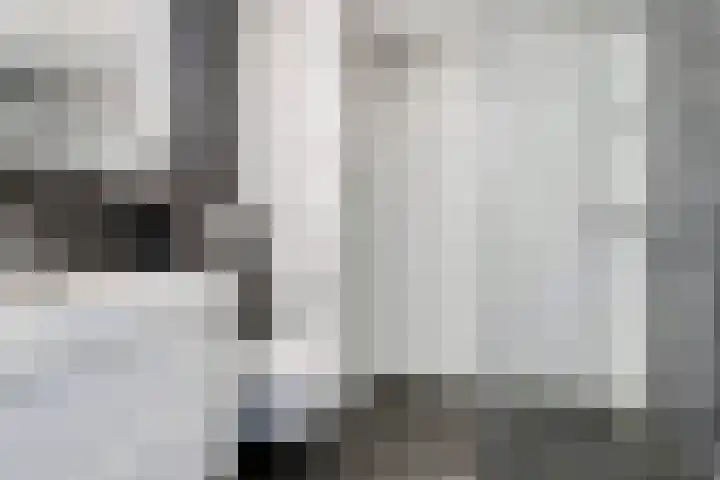 Het Zwanevlot 41 Zutphen thumbnail 4