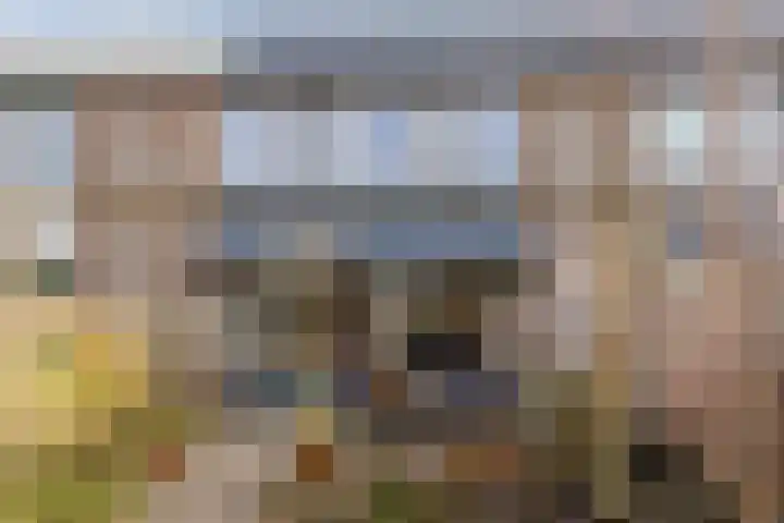 Het Zwanevlot 41 Zutphen thumbnail 5