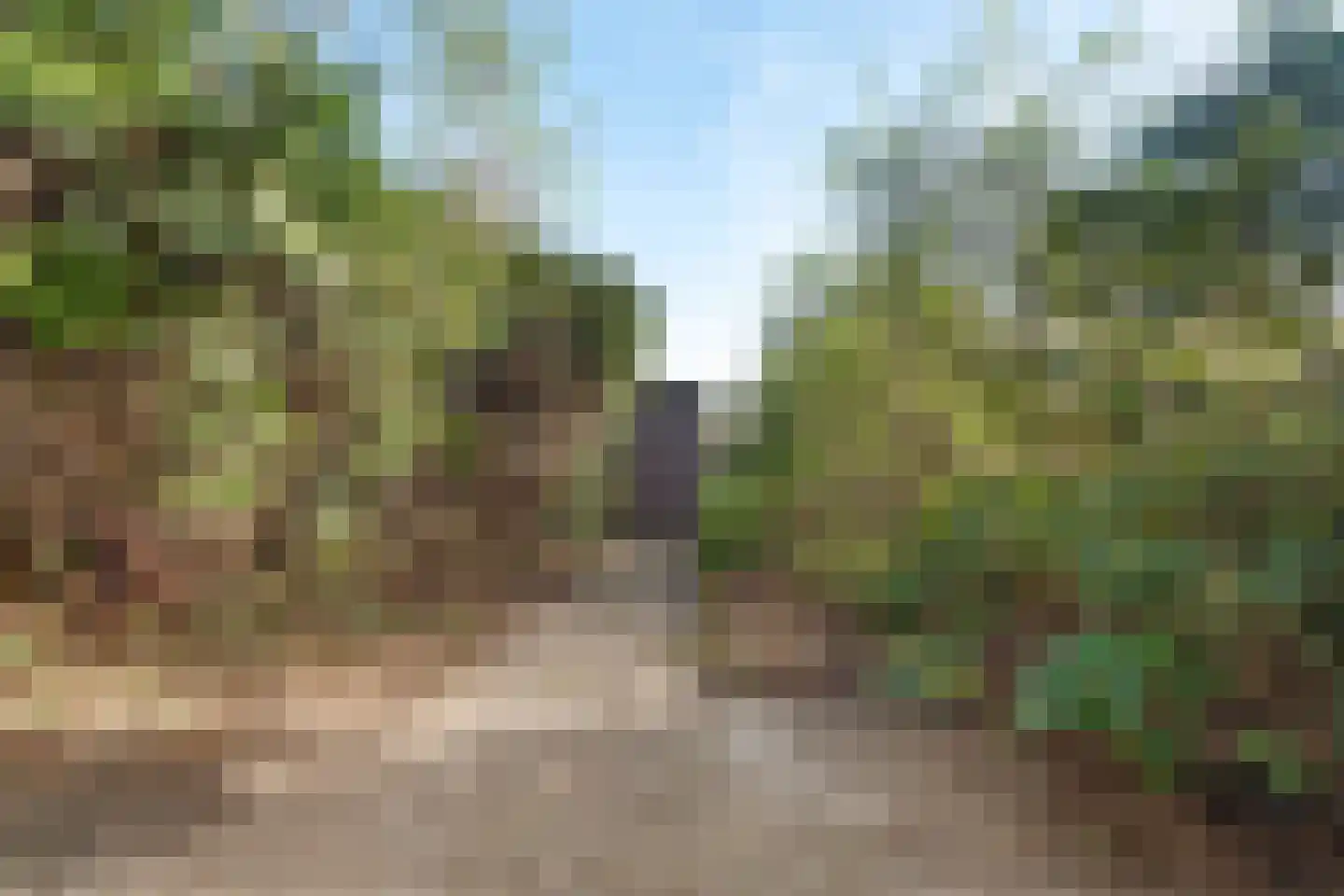 Het Zwanevlot 48 Zutphen thumbnail 23