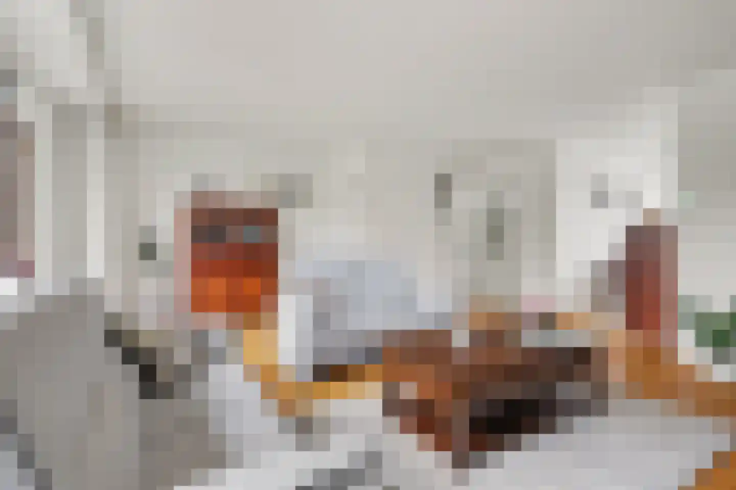Het Zwanevlot 84 Zutphen thumbnail 11