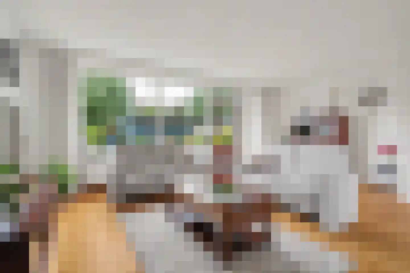 Het Zwanevlot 84 Zutphen thumbnail 12